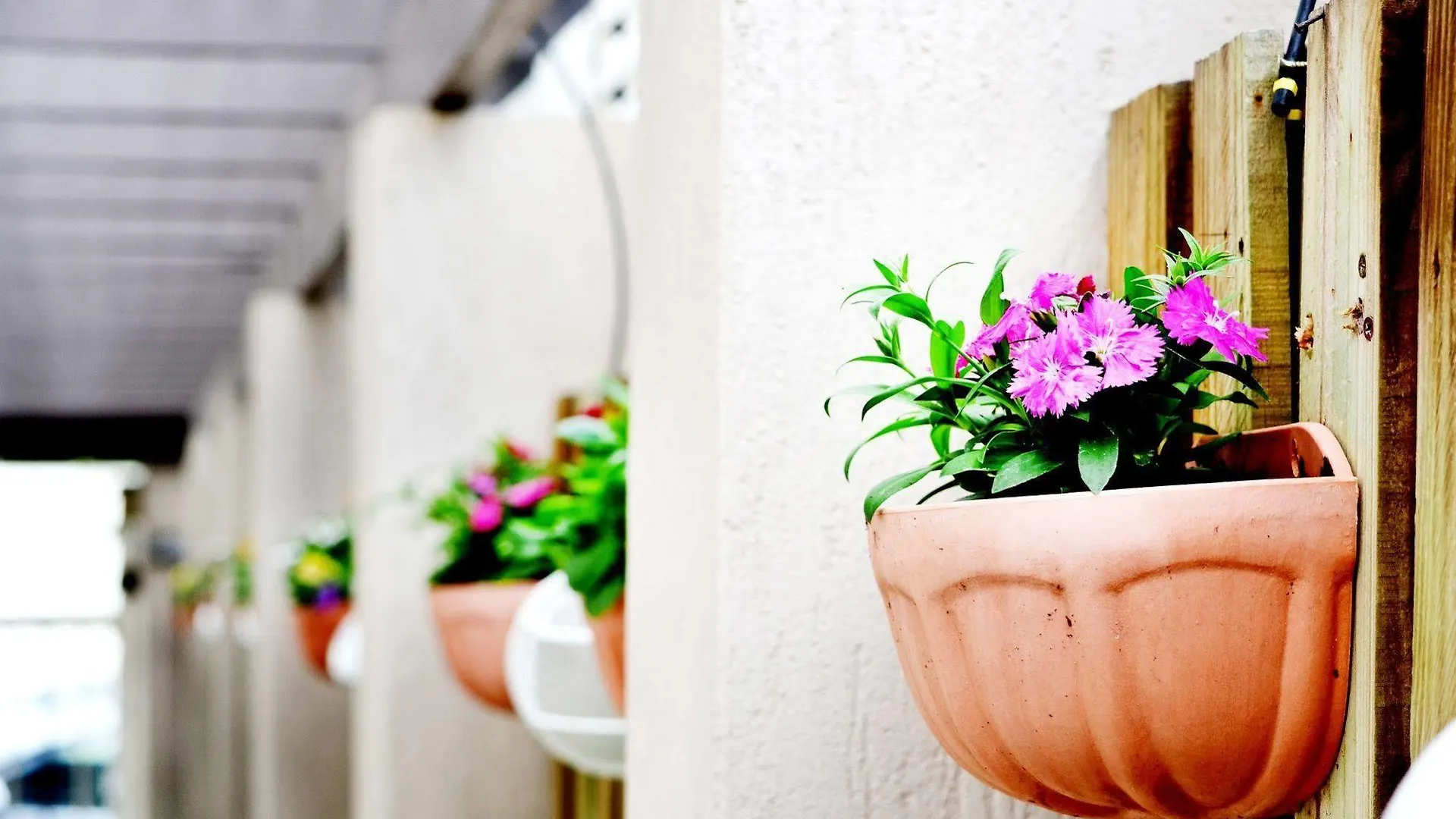 Spring Hill Mews Apartments Brisbane 4*,  Australia